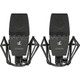 sE Electronics SE4400a Matched Stereo Pair - 530876-1660214645599.jpg