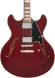 D’Angelico Premier DC Semi-Hollow Electric Guitar in Burnt Red - DAPDCBRDNS-Body.jpg