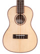 Cordoba 24C Spruce Concert Ukulele - CUK24CSP cropped.jpg