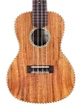 Cordoba 25T Tenor Ukulele - CUK25TT cropped.jpg