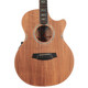 Second Hand Cole Clark Angel 3 AN3EC-BLBL Tasmanian Blackwood Acoustic Guitar 629 - SH-114-2629 (2).jpg