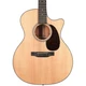 Second Hand Martin GPC-16E Acoustic Guitar #101 - SH-213-0101 (2).jpg