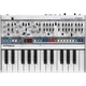 Roland N/vision Boutique Wavetable Synthesizer  - N-VISION (1).jpg