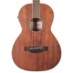 Second Hand Ibanez PNB14E Acoustic Bass In Open Pore Walnut #081 - SH-213-0081 (2).jpg