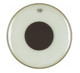 Remo Control Sound Clear withBlack Dot 14" - 104292-tmp9C19.jpg
