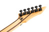 BC Rich Prophecy Series Shredzilla Exotic Archtop Electric Guitar with Floyd Rose in Spalted Maple - 513687-BC Rich Prophecy Series Shredzilla Exotic Archtop Electric Guitar with Floyd Rose in Spalted Maple 5.jpg