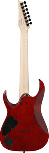 Ibanez RGA742FM-TGF 7-String Electric Guitar in Transparent Gray Flat - 422477-Ibanez-RGA742FMTGF-RGA-Series-7-String-Electric-Trans-Grey-Back.jpg