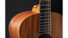 Taylor GS Mini Left-Handed Acoustic Guitar with Mahogany Top - Taylor-GSMini-Mahogany-00841060045279-Gallery-06-2021.jpg