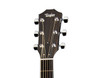 Taylor 214ce-BLK Plus Grand Auditorium Electro-Acoustic in Black - F214002111007983001-4.jpg