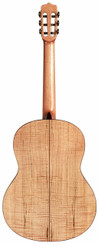 Cordoba Stage C5 Crossover Guitar Nylon String in Edge Burst - COR-C5-CROSSOVER-LTD-Cordoba-Stage-Crossover-Guitar-Nylon-String-in-Edge-Burst-Back.jpg