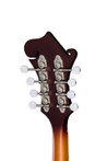 Epiphone Studio F-5 Mandolin With Premium Gig Bag In Vintage Sunburst Satin - EIGMF5SVSSNH1_hs_back.jpg