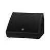 Yamaha CHR12M-BR2 12-inch Passive Monitor PA Speaker - CHR12M-BR2_04.jpg