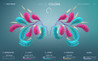 Native Instruments Komplete 15 Collectors Edition Upgrade for Komplete Standard 15 - Vocal-Colors.jpg