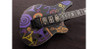 Reverend Vernon Reid Signature Totem Talisman - VR-S-TLMN-E-RAHCHC-X 3.jpg