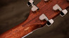 Taylor Legacy Collection 815E Electro Acoustic Guitar in Natural - L-815E (25).jpg