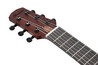 Ibanez AUP10N Advanced Electro Acoustic Ukulele in Open Pore Light Brown Sunburst - AUP10N_OLB_2Y_02_J.jpg