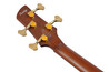 Ibanez SR5500-MHF SR Prestige 4-String Bass Guitar in Mocha Flat - SR5500_MHF_00_01_K.jpg
