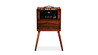 Taylor Circa 74 2-in-1 150W Acoustic Guitar and Vocal Amplifier with Amp Stand - Taylor-Circa-74-Select-Koa-C7401438-gallery-02-2025.jpg