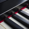 Roland GO:PIANO88 Digital Piano - GO-88PX_5.jpg