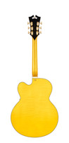 D'Angelico Excel EX-L1 Set Humbucker in Amber - DAEEXL1AMBGT2-R.jpg