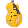 D'Angelico Excel EX-L1 Set Humbucker in Amber - DAEEXL1AMBGT2-A-2440x2440.jpg