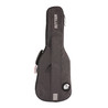 PJD York Standard Andertons Exclusive in Sage Green - PJD Ritter Gig Bag (1).jpg