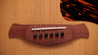 Taylor Gold Label 717e Electro-Acoustic in Natural - Taylor-Gold-Label-717e-1202125103-gallery-13-2025_compressed_compressed.jpg