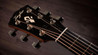 Taylor Gold Label 717e Electro-Acoustic in Natural - Taylor-Gold-Label-717e-1202125103-gallery-09-2025_compressed_compressed.jpg