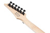 Ibanez RG470DXW-CA RG Standard Electric Guitar in Candy Apple Red - RG470DXW_CA_1P_01_K.jpg