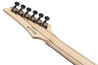 Ibanez RGA20P1PB-CUL RGA Premium Poplar Burl Top Electric Guitar in Cosmic Blue Burst Low Gloss - RGA20P1PB_CUL_1P_01_K.jpg
