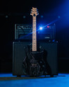 PRS SE NF 53 Electric Guitar in Black Doghair, Maple Fingerboard - SE NF 53-8.jpg