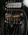 PRS SE NF 53 Electric Guitar in Black Doghair, Maple Fingerboard - SE NF 53-6.jpg