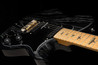 PRS SE NF 53 Electric Guitar in Black Doghair, Maple Fingerboard - SE NF 53 Black Dog Hair_e.jpg