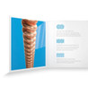D'Addario XS 12-String Coated Acoustic Strings 10-47 - ds_xsapb1047-12_detail3_transparent_web_compressed.jpg