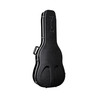 Martin GPCE Inception Maple Electro Acoustic Guitar - 12C640_f (1).jpg