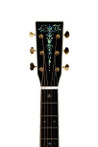 B Stock : Sigma S000A White Pearl - solid flamed maple back and sides - LR Baggs EAS-VTC 004 - S000A_White_Pearl___head_front-removebg-preview.jpg