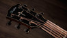Taylor 814ce Special Edition Electro Acoustic In Sapphire - Taylor-814ce-Special-Edition-Indian-Rosewood-Sitka-Sapphire-Top-1203245072-gallery-09-2025.jpg