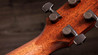 Taylor 814ce Special Edition Electro Acoustic In Sapphire - Taylor-814ce-Special-Edition-Indian-Rosewood-Sitka-Sapphire-Top-1203245072-gallery-15-2025.jpg