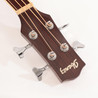 Second Hand Ibanez Exotic Wood Series EWB20WNE-NT1202 Electro Acoustic Bass 060 - SH-241-5060 (15).jpg