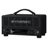 B Stock : Synergy 20IR All-Tube Head 20w 3-Channel Preamp Module - Platform Amp 004 - SYN-20IR-LEFT-NO-MODULE.jpg