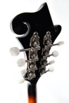 Sigma MA 6 F-Style Mandolin - MA-6-head-back-1.jpg