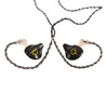 Ordo HP-IEM30 Professional In-Ear Monitor Earphones - HP-IEM30 (5).jpg