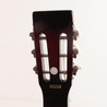Second Hand Ozark 3515 SQ Resonator Guitar 110 - SH-241-5110 (10).jpg
