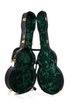 Sigma SATA 400E Archtop Electric Guitar - SATA-hardshell-2-3.jpg