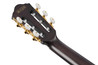 Ibanez FRH20QMN-CTL FRH Series Electro-Acoustic in Cosmic Blue Starburst - FRH20QMN_CTL_5B_01_K.jpg