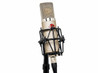 Mojave Audio MA 300SN Condenser Microphone Multi-Pattern Tube LDC - Matched Pair - 454167-MA-300SN-2__93802.1617892770.1280.1280.jpg