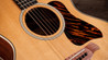 Taylor Gold Label 514e Electro-Acoustic Guitar - Taylor-Gold-Label-514e-1204185095-gallery-20-2025.jpg