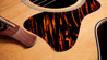Taylor Gold Label 514e Electro-Acoustic Guitar - Taylor-Gold-Label-514e-1204185095-gallery-18-2025.jpg