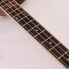 Second Hand Epiphone Allen Woody Bass in Cherry 527 - SH-235-2527 (15).jpg