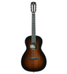 B Stock : Alvarez Artist Parlor Acoustic Guitar 009 - 294248-AP66SHB-Front.jpg